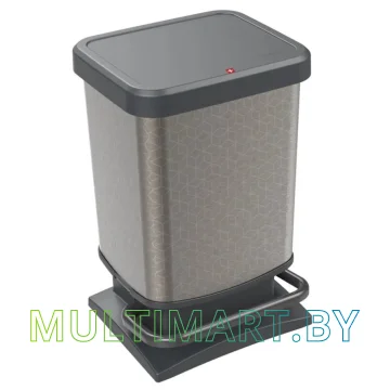 Мусорное ведро Rotho Paso 20 л 1754011013 (черный/"hexagon") 